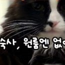 금호세탁하우스 네이버블로그