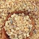 미르약국 이미지