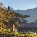 해인사쇼핑센터 이미지