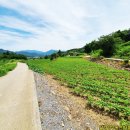 북단양농협 적성지소 이미지