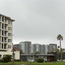 이디플레이 | 제주 해비치 리조트 주니어 스위트 테라스룸 12개월 아기랑 후기 (+조식, 이디 레스토랑, 수영장, 키즈룸)