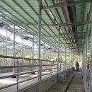 대명축사 이미지