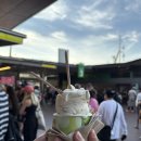 청춘펍 | 호주 시드니 여행 시드니 청춘 워킹 투어 선셋 야경 타임 솔직후기