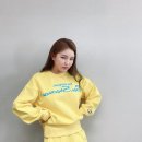 병아리삐약