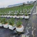 상신농장 이미지