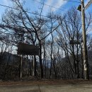 [산불] 경북 산불 현장 실제 상황입니다. 이미지