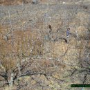 한축농장 이미지