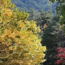 성류식당 이미지