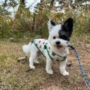 더위크앤리조트(더우프앤) 이미지