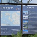 교동청춘부라보