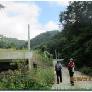 육백지맥 1구간(낙동 분기점-신리재-정거리재-1156.3m-강원대). 이미지