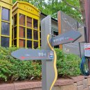 은행나무길 대여소 이미지