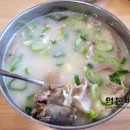 용인백암순대국 네이버블로그