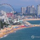 속초 연합뉴스