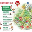 2024년 5월 22일~26일 울산대공원 장미축제 이미지