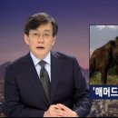 맘모스 - 양주시 평화로1597번길 41-1 | 맘모스