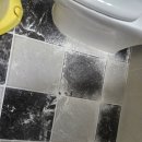 용산롯데캐슬 | 대구 줄눈시공｜용산롯데캐슬아파트 욕실 줄눈 재시공 현장 후기