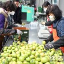 대저토마토산지유통센터 이미지