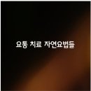 요통 치료에 이미지