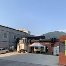 푸치베베 이미지