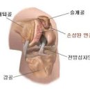 세중한의원 국제도시점 이미지