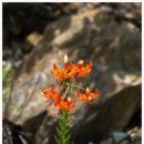 태양부동산중개 이미지