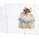 마마스미독 강아지 분양 김해점 이미지