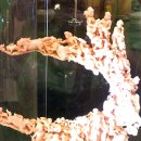 산호빌딩 이미지