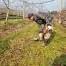 사광농장 이미지