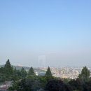 하얏트 서울 뷔페 더 테라스 평일 생참치 스페셜 디너 후기 - Picture of The Terrace, Grand Hyatt Seoul