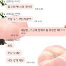 해오름문고 | 2025 해오름 달(2)