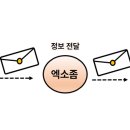 드림광고 이미지