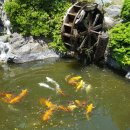 칠갑산 목장 이미지