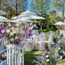 디바인밸리 이미지