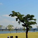 한강시민공원 이미지