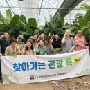 서주길(와룡면) 이미지