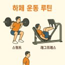 비타민 골프 앤 휘트니스 이미지