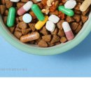 슬로우캣 이미지