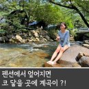 둥지펜션 야영장 이미지