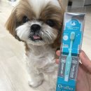 하나바이오 | [내돈내산] 강아지 칫솔 반려동물 칫솔 추천, 오라바이오 사용 후기 Review