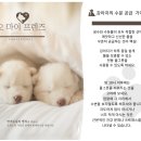 오마이프렌즈 이미지