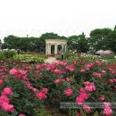 잠실대교 하부 이미지