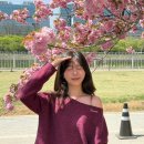 프랑메리코 몬트 오프숄더니트 머핀 체크스커트 후기 여자 벚꽃룩 코디 추천