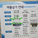 데이빗엔샘영어교실