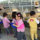 신동목장 이미지