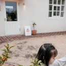 무무꽃 | 제주 예쁜 인테리어소품샵 무무제주, 애월 한담몰 제주감성소품샵