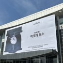 국립발레단 백조의호수 관람 후기ㅣ성남아트센터 오페라하우스 1층 2열 17번 시야