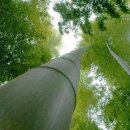 영화황토민박 이미지