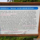 모슬포고등어 이미지