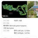 야자수하우스 | 제주골프장 중문CC 야자수도 바다뷰도 동남아같이 이국적이에요 (26.7.25)